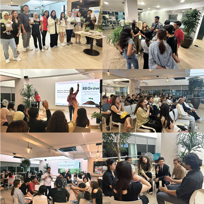 Waste War Campaign at Taylor's Residence